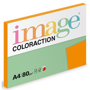 Barevn koprovac papr Coloraction A4 80g Intenzivn