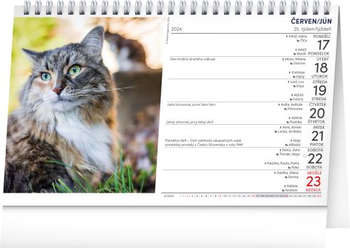 Kalendář stolní zvířata