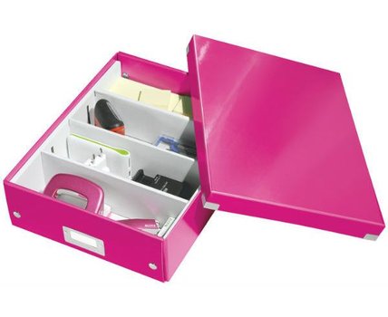 Organizan krabice Leitz CLICK-N-STORE A4
