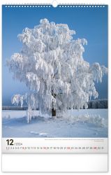 Nástěnný kalendář Stromy 2024, 33 × 46 cm