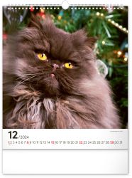 Kalendář nástěnný Zvířata